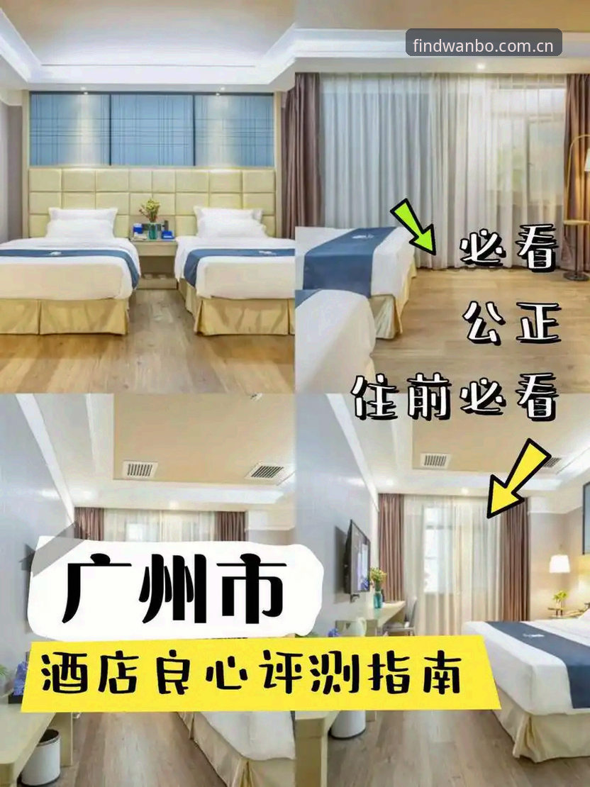 万博官方服务入口攻略深度评测：新手也能快速上手的完整指南
